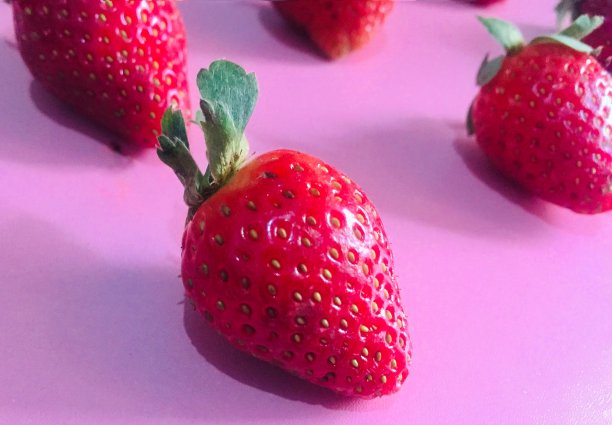 甜美的红草莓放在粉红色的背景上。图片下载