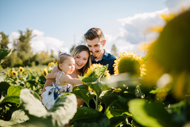 向日葵农场的可爱家庭图片下载