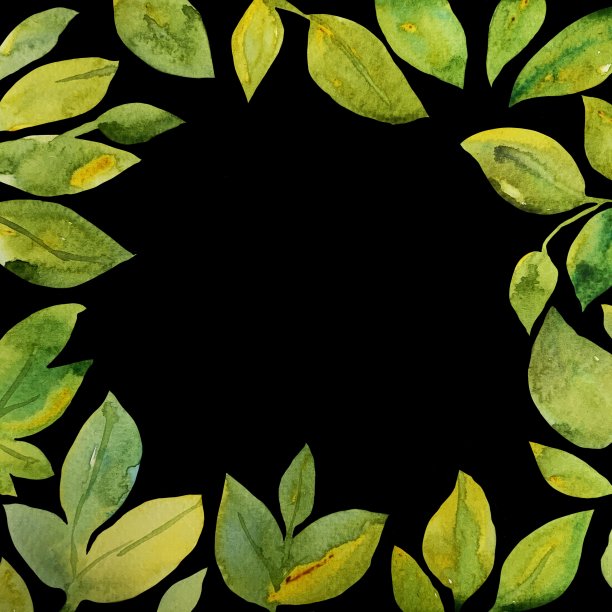 水彩植物花卉框架图片下载