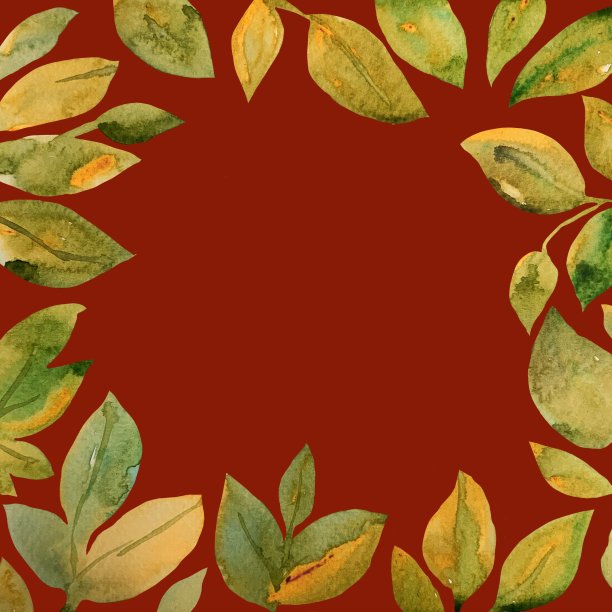 水彩植物花卉框架图片下载