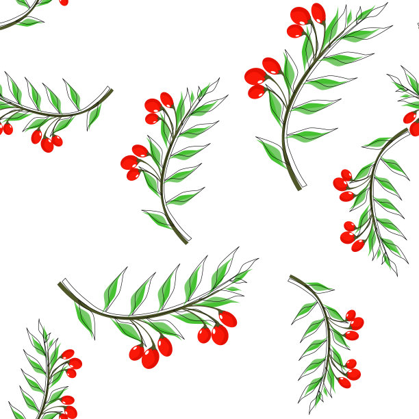 无缝模式。一种有叶子的枸杞浆果。程式化的多色矢量插图。用于布料和包装纸。白色背景图片下载