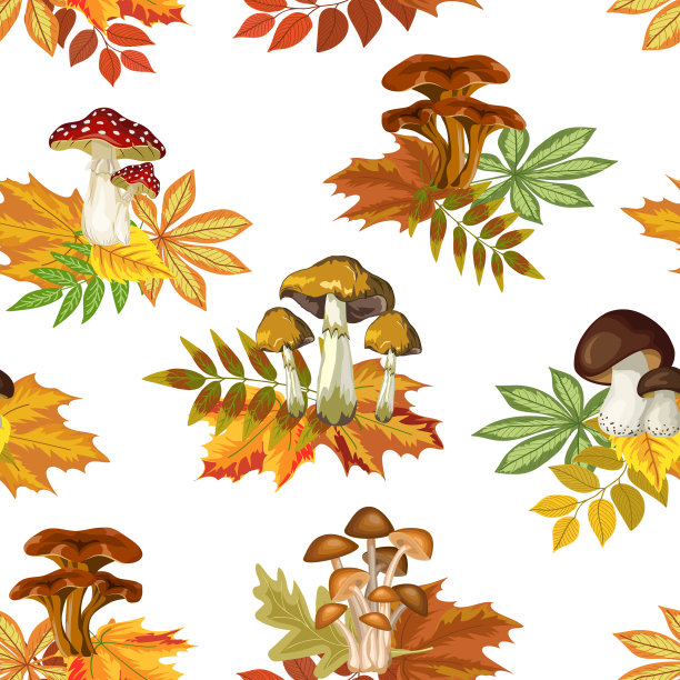 蘑菇在秋叶上的图案图片下载