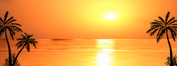 深色棕榈树的轮廓在色彩丰富的热带海洋日落背景，矢量插图。图片下载