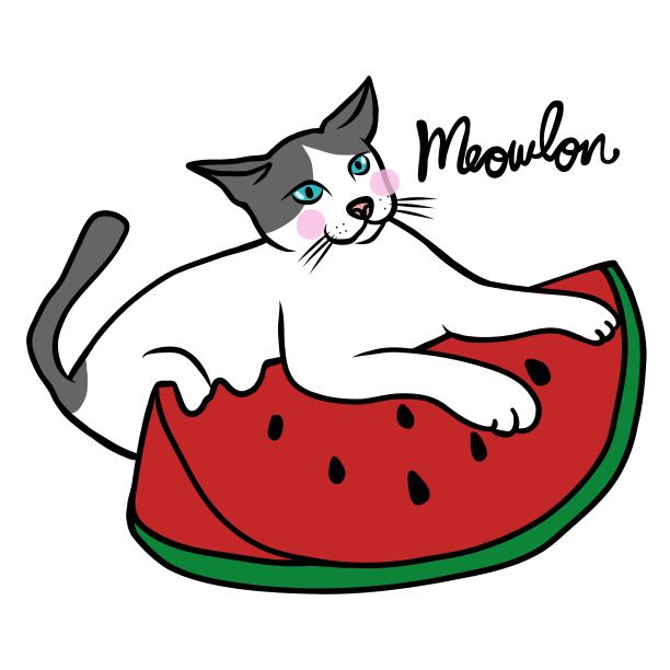 猫和西瓜卡通矢量插画图片下载