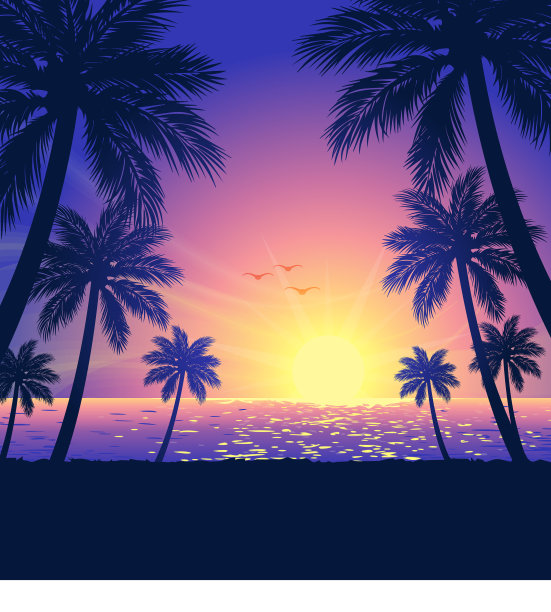 温暖的热带海滩日落棕榈树图片下载