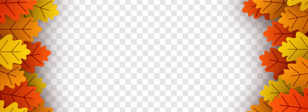 秋天金黄的橡树叶垂直架图片下载