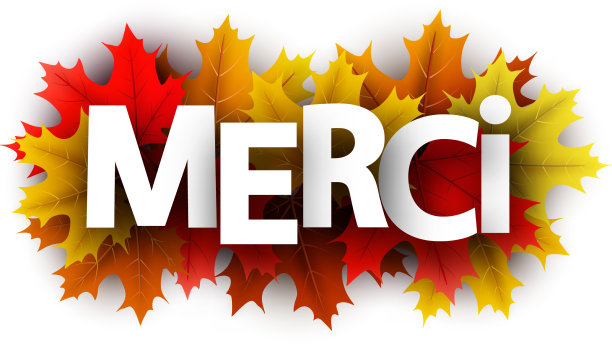 秋天用彩色枫叶表示感谢图片下载