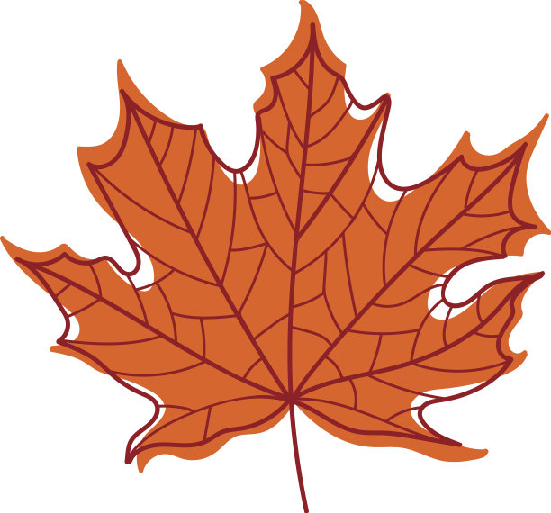 秋天的枫叶以红脉为季节图片下载