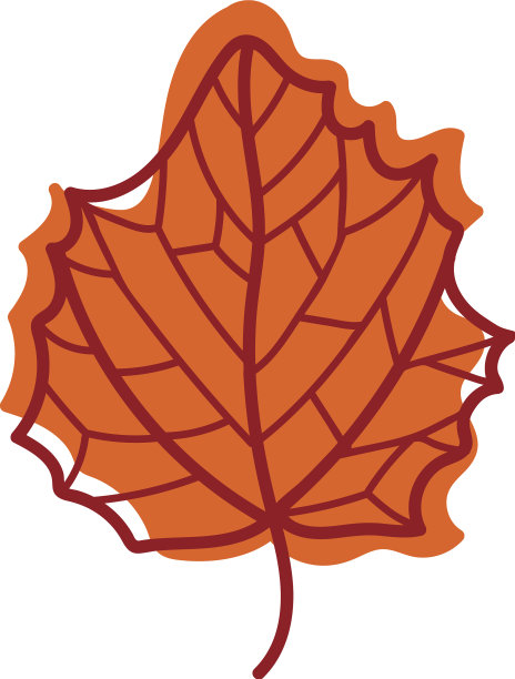 红色的秋叶，有脉状的季节性叶在上面图片下载