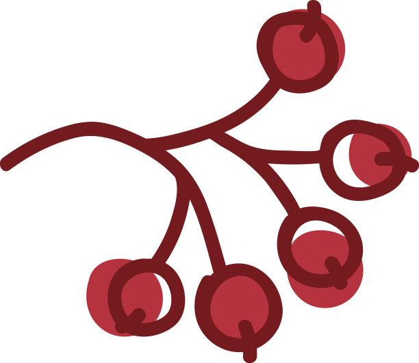 红色的花楸浆果挂在树枝上如同秋天图片下载