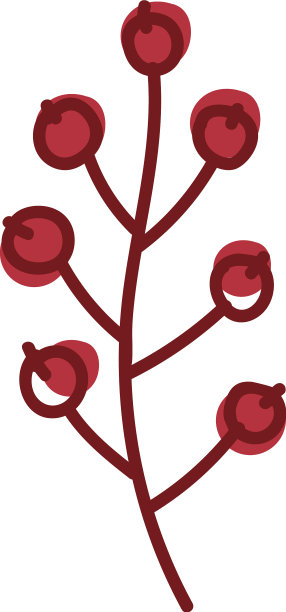 红色的花楸浆果挂在树枝上如同秋天图片下载