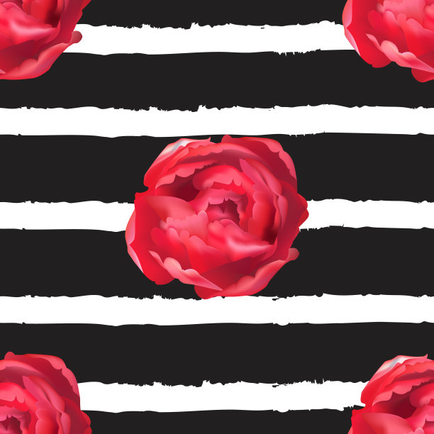 海军条纹印花与现实牡丹玫瑰图片下载