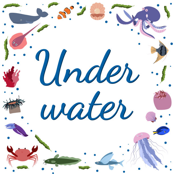 框架模板与卡通海洋动物。海洋背景与圆形剪影。图片下载