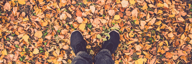 一个穿着黑色运动鞋和牛仔裤的人站在秋天的落叶上图片下载