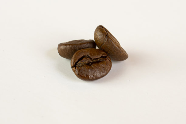 咖啡树的颗粒接近白色的背景图片下载