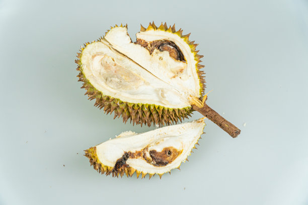 腐烂或坏的含有榴莲种子的榴莲。在白色背景上分离的榴莲种子。图片下载