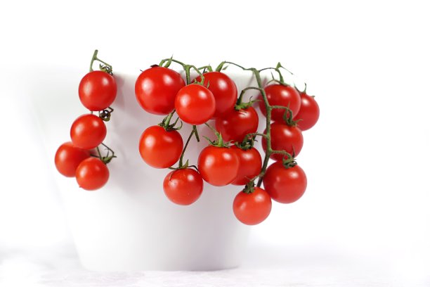 圣女果的静物画-白色背景图片下载