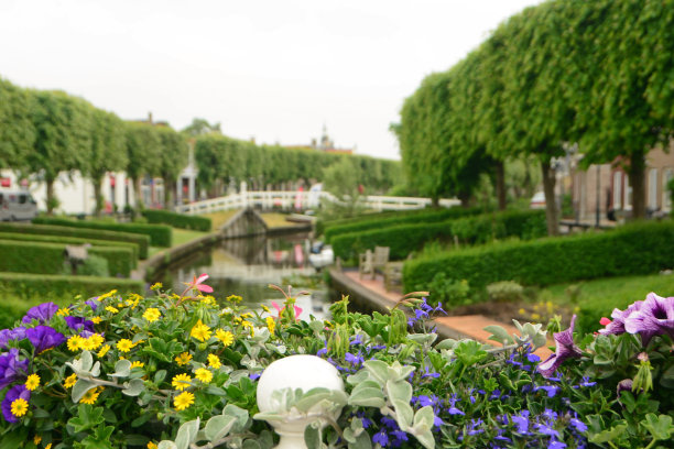 装满百日菊的花盆。图片下载