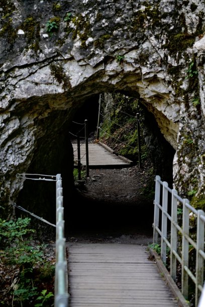 令人毛骨悚然的桥图片下载