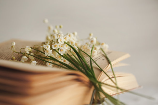 纸书页上的铃兰花。浅景深图片下载