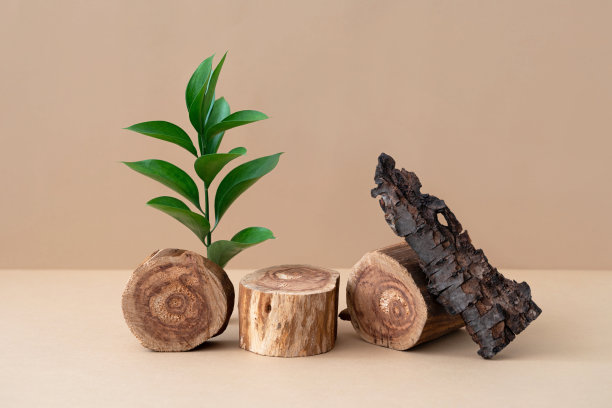 空荡荡的木制讲台，嫩绿的树叶和树皮在米色的背景。环保化妆品广告木条。时尚的天然材料展示模型。静物组成图片下载