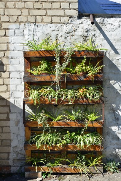 一些盆栽植物和药草在一个旧的木制架子上的花花盆。图片下载