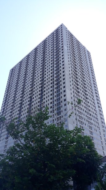 一幢前面有棵树的未完工的高楼图片下载