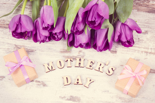 复古照片，紫色郁金香和母亲节礼物图片下载