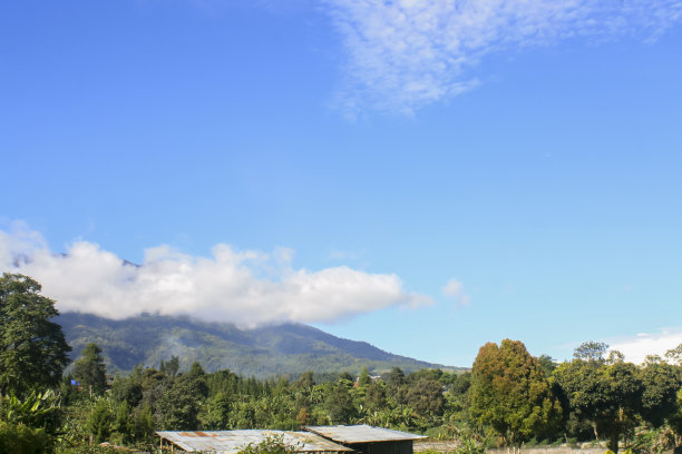 美丽的夏天的场景图片下载