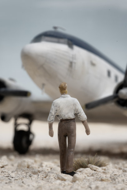 迷你人和DC-3达科他图片下载