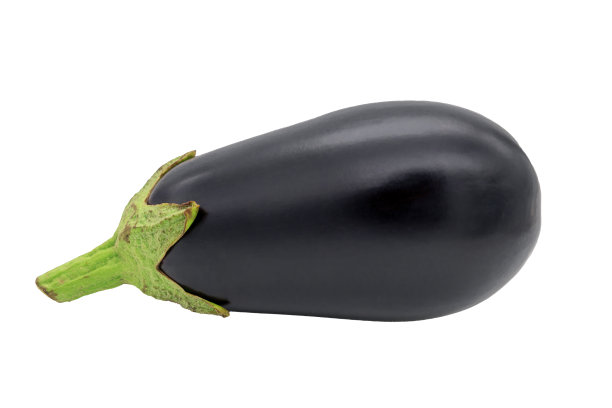 白色背景上孤零零的一个茄子图片下载
