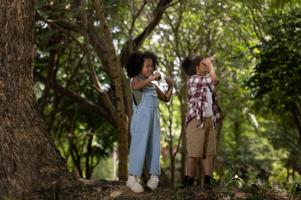 非洲裔美国人种族儿童女孩和男孩探险家在自然森林与他的纸双筒望远镜图片下载
