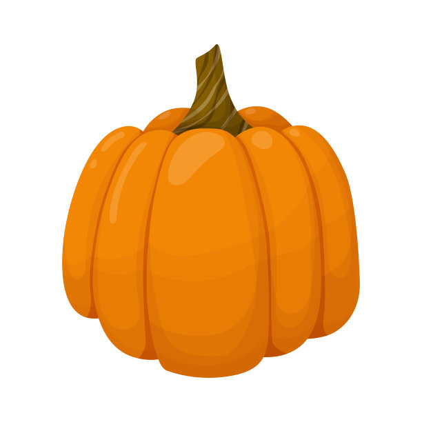 橙色的南瓜。植物插图孤立在白色背景上。图片下载