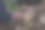 生姜种植。图片下载