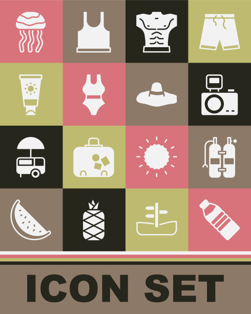 水瓶，水，相机闪光灯，健美肌肉，泳衣，防晒霜管，水母和优雅的女人帽子图标。向量图片下载