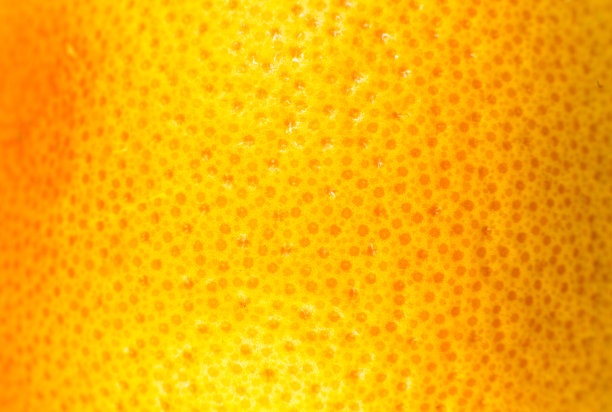 葡萄柚皮纹理的近距离照片。奇异成熟的水果，橙色背景，宏观视图。人类皮肤问题概念，痤疮和脂肪团。美丽的大自然壁纸。图片下载