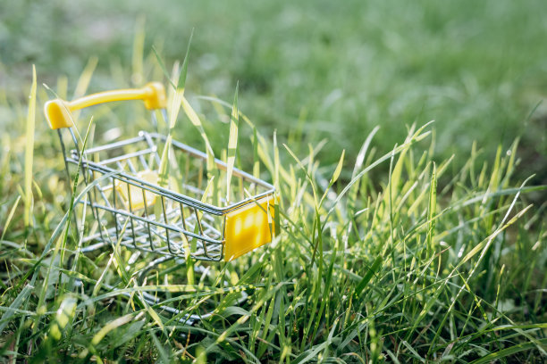 可持续消费。空荡荡的购物车在绿色的草地背景。“零浪费”的概念。副本的空间。图片下载