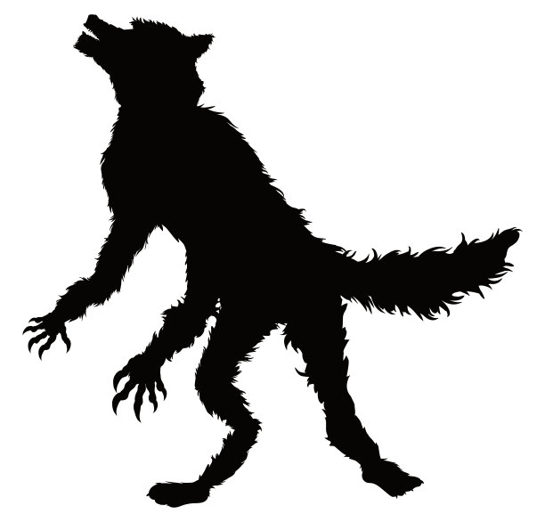孤立站立狼人剪影与黑色皮毛在白色背景图片下载