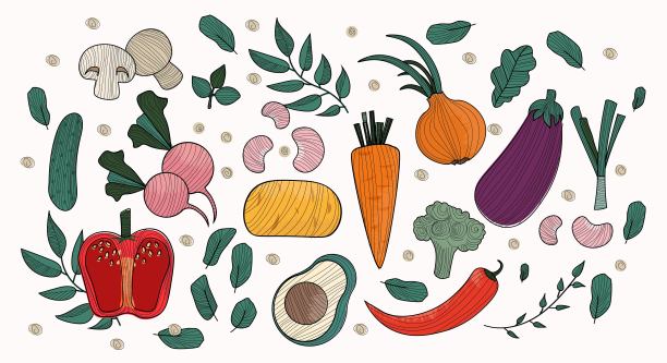 组vegatables图片下载