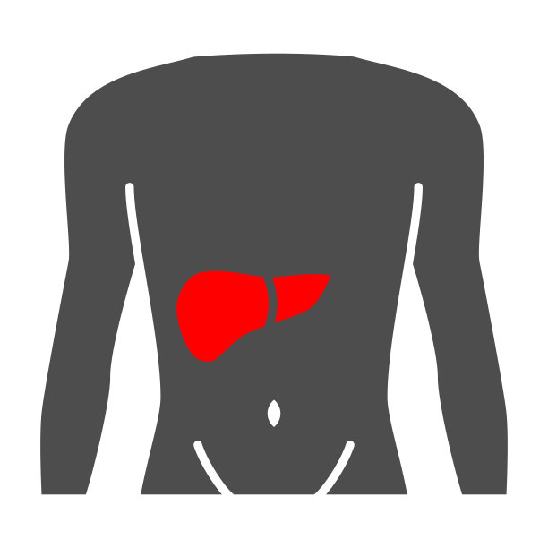 肝痛实体图标，身体疼痛概念，肝病矢量符号在白色背景上，字形风格图标的移动概念和网页设计。矢量图形。图片下载