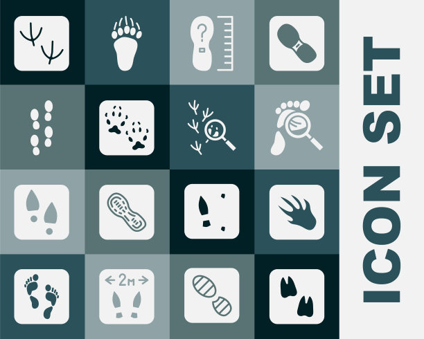 集骆驼爪脚印，鳄鱼鳄鱼，放大镜与脚印，正方形尺寸，狐狸，人类脚印鞋，鸽子和鸟的图标。向量图片下载