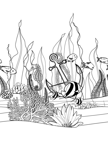 有图案的石头锚住海藻和鱼图片下载