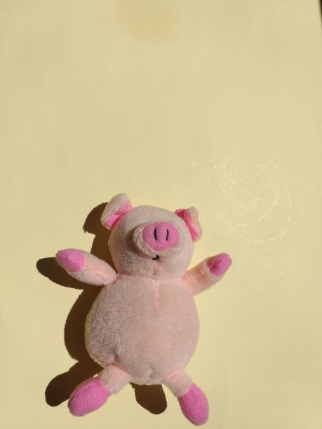 黄色背景上的毛绒猪照片图片下载