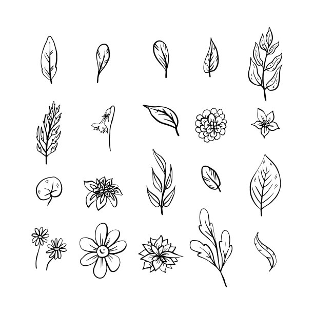 一套手画的花图片下载