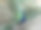 展示羽毛的雄性孔雀图片下载