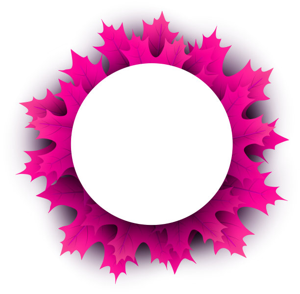 秋天的背景与粉红色的枫叶图片下载