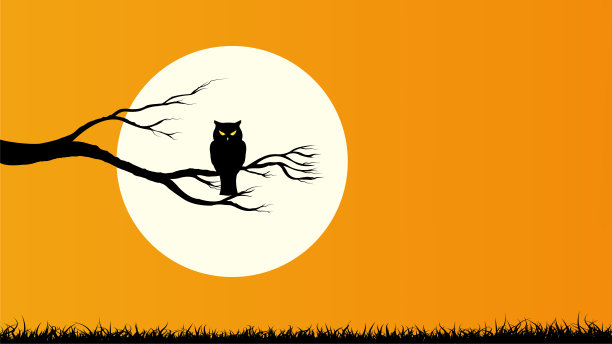 快乐的万圣节与猫头鹰抱在树枝和满月，橙色背景图片下载