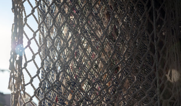 背景，散焦，散焦，物体，模糊，轻微图片下载