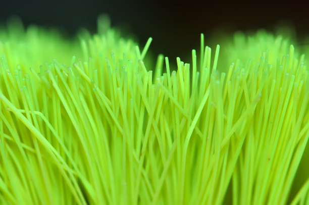 绿色刷图片下载