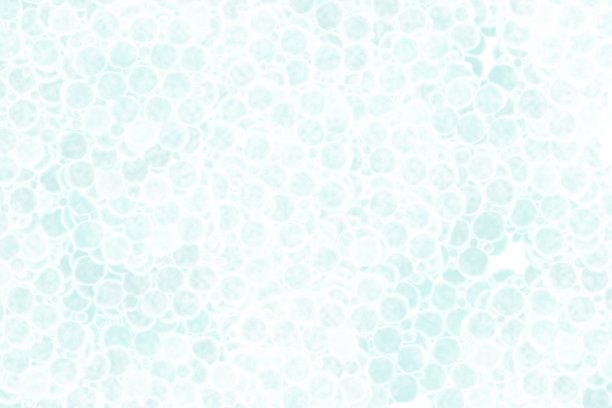 背景是浅蓝色的，有许多小圆圈，身体的细胞结构图片下载